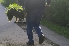 Stowarzyszenie_Sady_sprzatanie2023_009