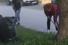 Stowarzyszenie_Sady_sprzatanie2023_010