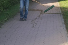 Stowarzyszenie_Sady_sprzatanie2023_011
