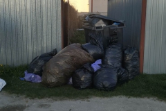 Stowarzyszenie_Sady_sprzatanie2023_015