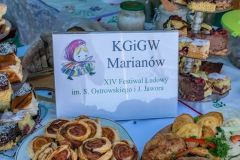 Festiwal_ludowy_KGW_20220626_001