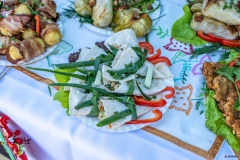 Festiwal_ludowy_KGW_20220626_008
