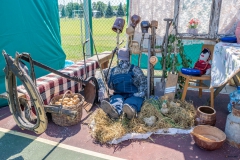 Festiwal_ludowy_KGW_20220626_018