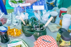 Festiwal_ludowy_KGW_20220626_034