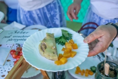 Festiwal_ludowy_KGW_20220626_049
