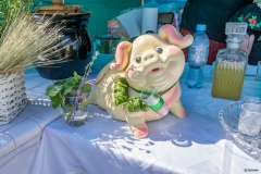 Festiwal_ludowy_KGW_20220626_053