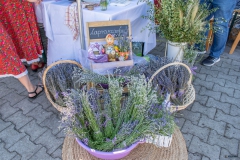 Festiwal_ludowy_KGW_20220626_065
