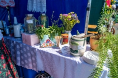 Festiwal_ludowy_KGW_20220626_077
