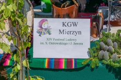 Festiwal_ludowy_KGW_20220626_088