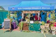 Festiwal_ludowy_KGW_20220626_089