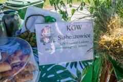 Festiwal_ludowy_KGW_20220626_121