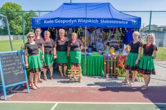 Festiwal_ludowy_KGW_20220626_122
