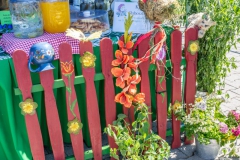 Festiwal_ludowy_KGW_20220626_124