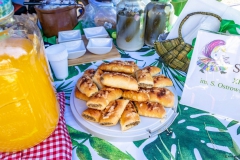 Festiwal_ludowy_KGW_20220626_125