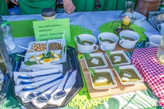 Festiwal_ludowy_KGW_20220626_130