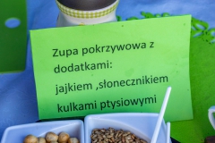 Festiwal_ludowy_KGW_20220626_132