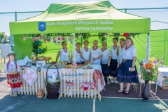 Festiwal_ludowy_KGW_20220626_135