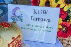 Festiwal_ludowy_KGW_20220626_147