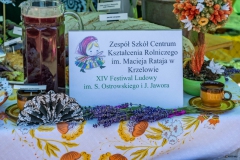 Festiwal_ludowy_KGW_20220626_172