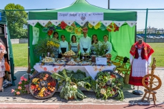 Festiwal_ludowy_KGW_20220626_173
