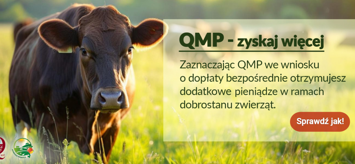 Ekoschemat „Dobrostan zwierząt” - Dodatkowe pieniądze dla hodowców bydła z QMP – tylko do 16 czerwca!