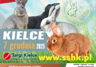 I Świętokrzyskie Święto Królika