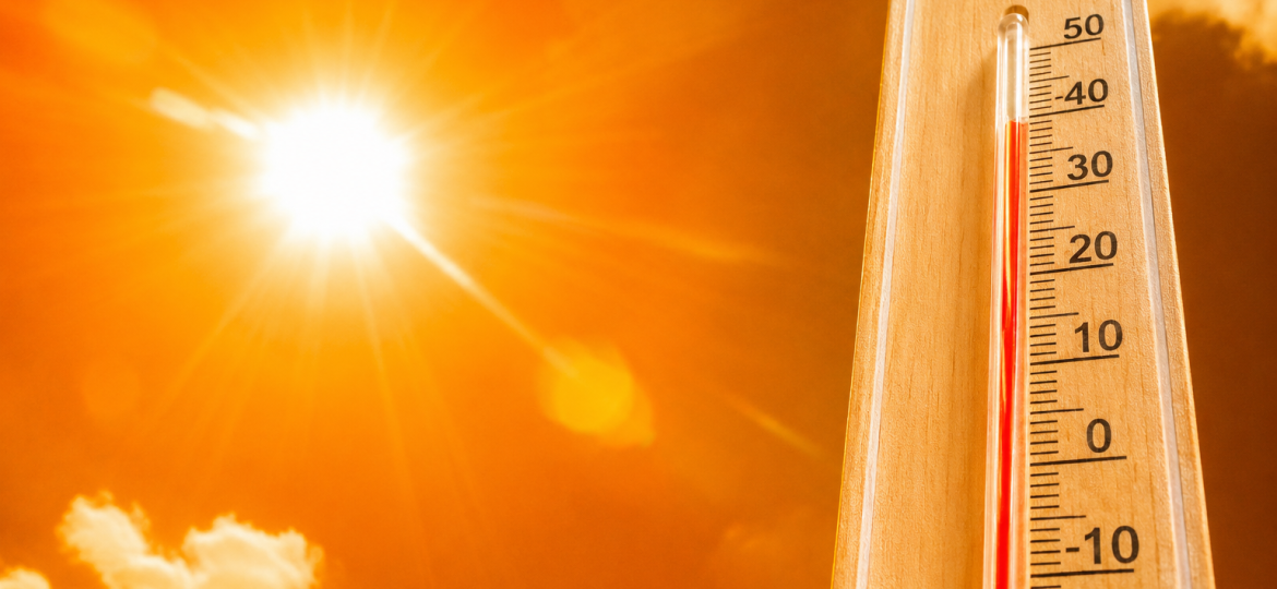 Jak chronić zwierzęta przed wysokimi temperaturami