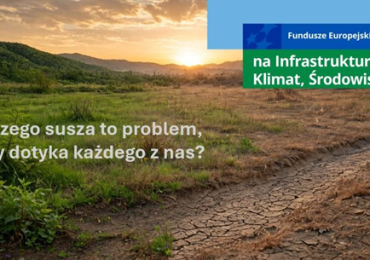 Dlaczego susza to problem, który dotyka każdego z nas?