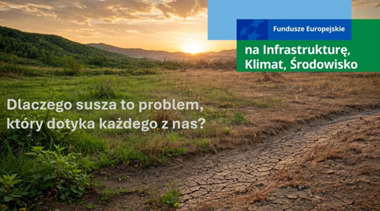 Dlaczego susza to problem, który dotyka każdego z nas?